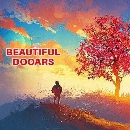 Hello This is Beautiful Dooars Twitter Account do follow for news, photography, videography, social awareness and other updates
