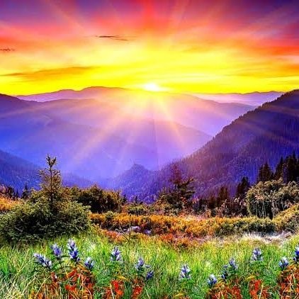 Zypssy's profile picture. Good Listener Is The Best Learner.....
RT's are not endorsements..