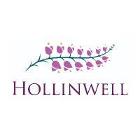Hollinwell (@hollinwell) 's Twitter Profile