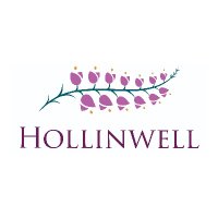 Hollinwell(@Hollinwell) 's Twitter Profile Photo