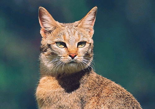 roger08241967's profile picture. 