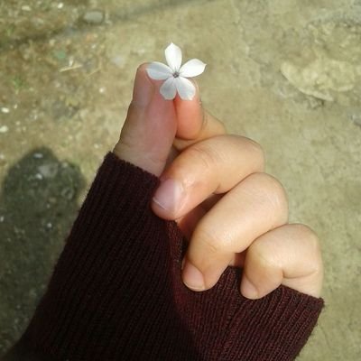 AnNurAnNisaaa's profile picture. I'm not beauty queen, I'm just beautiful me♥