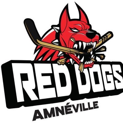 Club de Hockey sur Glace évoluant en D2 🏒 Suivez les matchs & actus en direct !                          LET’S GO RED DOGS 🔴⚪️⚫️