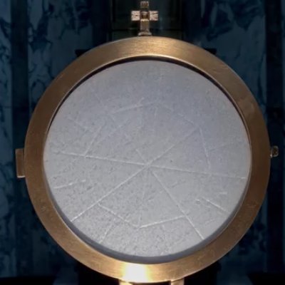 livinhills's profile picture. 