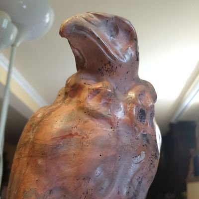 Chrysaetos6's profile picture. YO SOY ASÍ