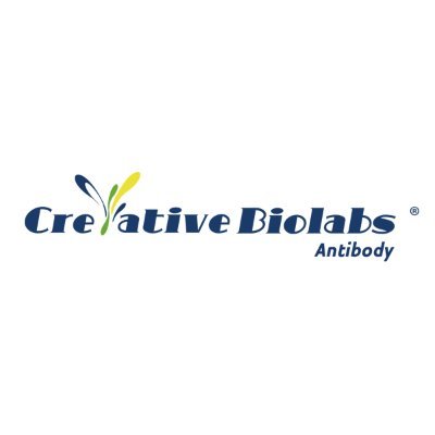 Beyond antibodies, further your research
Antibodies, antigens, etc. for your research and discovery