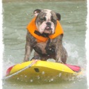 Ryan Fitts - @fitts287 - Twitter