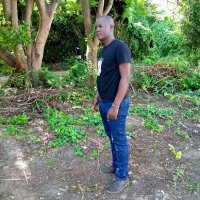 Lukhale (@lukhale2) 's Twitter Profile