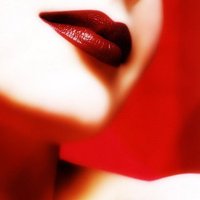 Đα̐rε͠έη ✽ (@dareen_86) 's Twitter Profile
