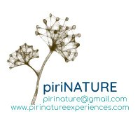 piriNATURE experiences(@pirinature) 's Twitter Profileg