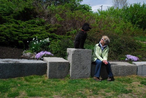 Lynngbh's profile picture. 