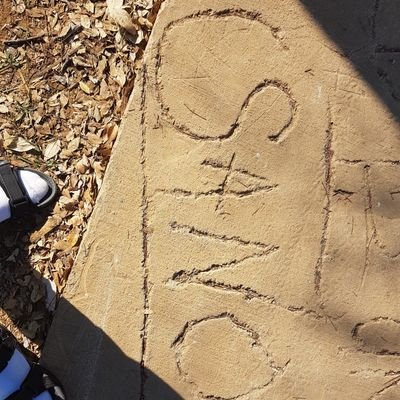 Sanowildbunch2's profile picture. nothing now........