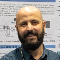 Javier Orlandi (@orlandiresearch) 's Twitter Profile