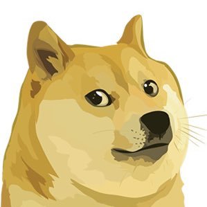 ng73163708's profile picture. 