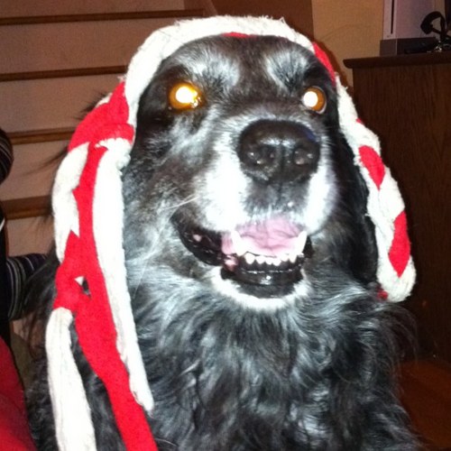 JimmyDiesel33's profile picture. Straight Balla