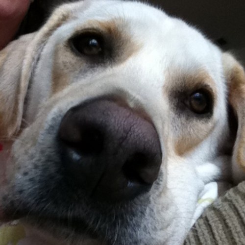 mlam97's profile picture. The Phish from Vermont, golf, beer, cats and dogs