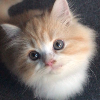 Ratupermataka's profile picture. Stay strong and be brave....