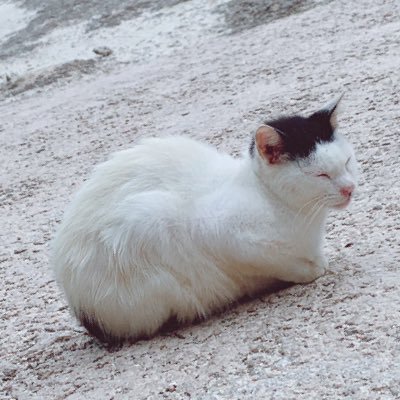 趣味兼取引垢🥺28↑都内在住 ♡鬼滅(冨岡)♡呪術(狗巻、伏黒)♡弱ペダ(黒田)♡BLEACH(ギン、白哉)♡ハイキュー(岩泉、菅原)♡ワートリ(隠岐、烏丸)♡ブルロ(御影)♡サカデイ(神々廻)♡マッシュル(レイン)♡カグラバチ(漆羽)♡ドクスト(スイカ)♡桃源暗鬼(鳥飼)♡ちいかわ(うさぎ)