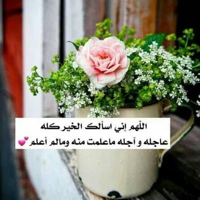 oRQq1CwRdGaVvcs's profile picture. ‏أعظمُ الأرزاقِ دعوةٌ رُفِعَت باسمك في ظهرِ الغيب، لا أنتَ طَلبتها، ولا حتى تَعلَمها