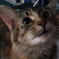 Joseph Weston (@jwestonart) 's Twitter Profile