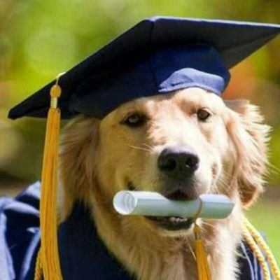 Smart_Dogs_Club's profile picture. Welcome to Smart Dogs Club |

Association of Smart Dogs On Twitter |

Training Your Dog To Be A Smart 21st Century Dog!