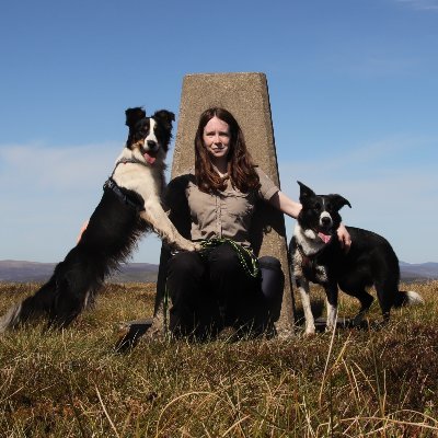 Owned by four wonderful border collies - Moss, Coinneach, Zena and Dakota 🐾

Mastodon - Colliefullife@mastodon.scot

#bordercollies