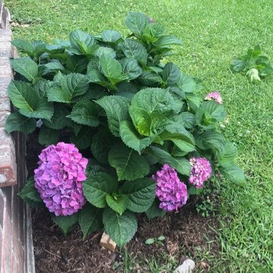 wiselady32's profile picture. An Inspiried Individual