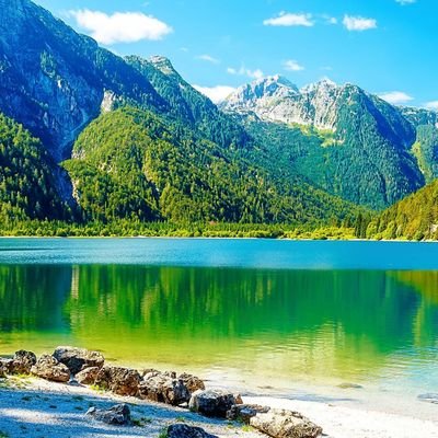 mkEnkYApfZhqtpu's profile picture. 