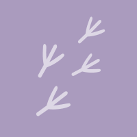 lanius (@lanius) 's Twitter Profile Photo