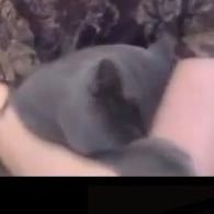 Kashiyuri (@pfrm_love2000) 's Twitter Profile