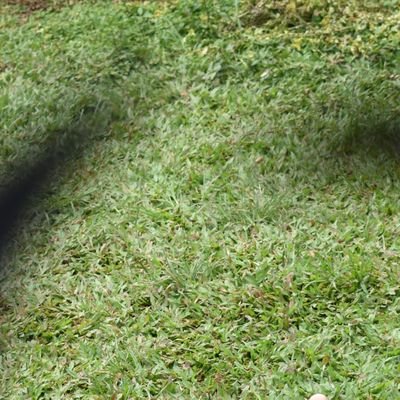 naveenbyalal's profile picture. Your Well wisher