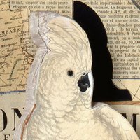 Alicia DeSantis (@aliciadesantis) 's Twitter Profile