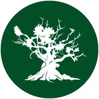 Amazon Rainforest Journalism Fund (@ai_reporting) 's Twitter Profile
