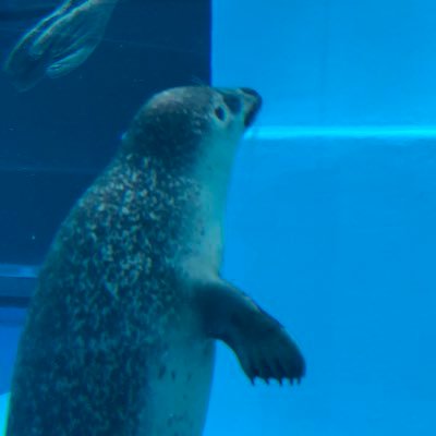 indiansummer113's profile picture. やっと落ち着いた凪の毎日を過ごせています。悩みや迷いは尽きないけど、ぼちぼちやるしかないかな。