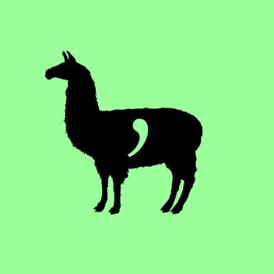 llama_comma's profile picture. nerd