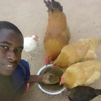 Yusupha (@yusupha58351792) 's Twitter Profile