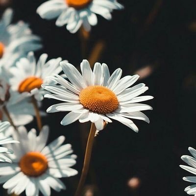 VXm8RpKR8YHTW4c's profile picture. 