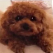 R さんのプロフィール写真