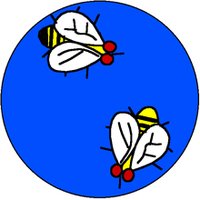 Real Houseflies of Brandeis (@griffithflylab) 's Twitter Profile