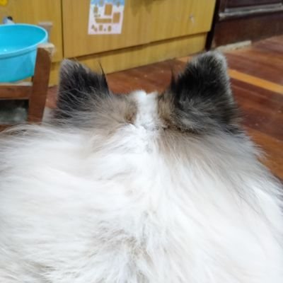 K (นามสมมติ)​さんのプロフィール画像