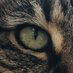R. MacAlay (@robertmcalay) Twitter profile photo R. MacAlay (@robertmcalay) Twitter profile photo
