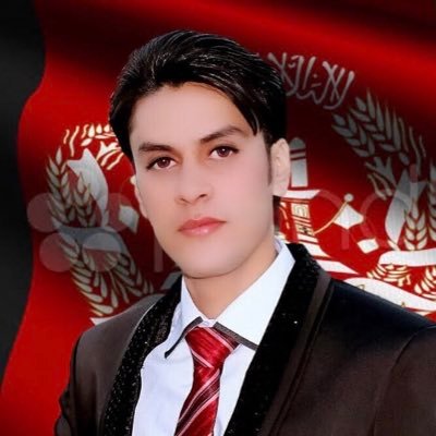 محمد حکیمیار، شناسنامه های الکترونیکی ولایت هرات، افغانستان