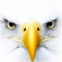 Mark Graber - @LBH4U721 - Twitter