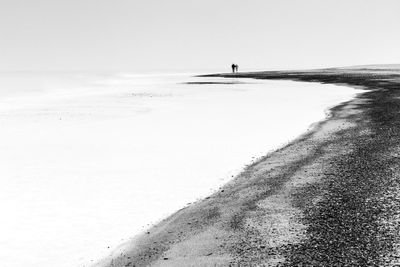 InsterburgP's profile picture. Street, abstract, portrait and minimalist photography