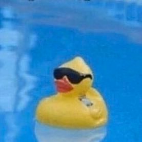 jschlattdanish's profile picture. i’m too old for this shit, i guess u can follow @semisheepish tweet maybe once a year.. good day