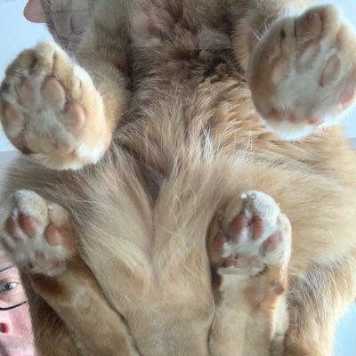 Dave_Sparx's profile picture. check out my MixCloud page for DJ mixes - https://t.co/JxDIzneqrZ