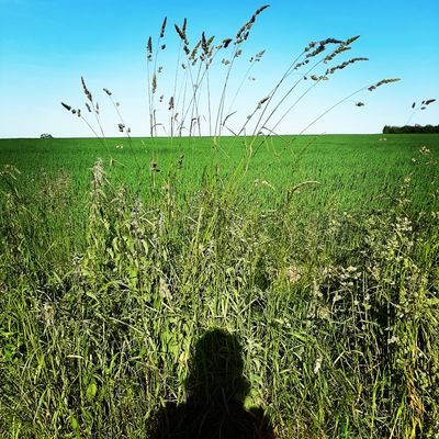 AndreucciLaure's profile picture. back home alias Missblogdel