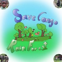 Save Congo Rainforest (@savecongoforest) 's Twitter Profile
