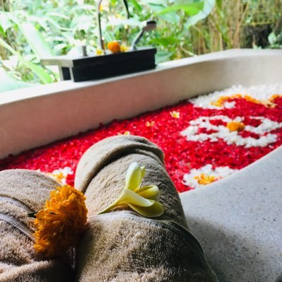 pannymoomins's profile picture. Geek. Maths teacher. Book worm. Lived in Japan for a year. Travels frequently (when allowed)