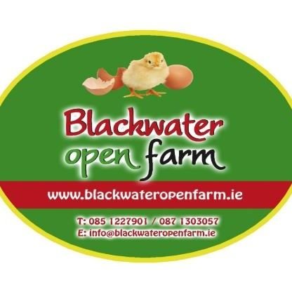 #BlackwaterOpenFarm is a family run open farm with lots of play activities & a cafe. Its the ideal day out for families of all ages! #VisitWexford #staycation